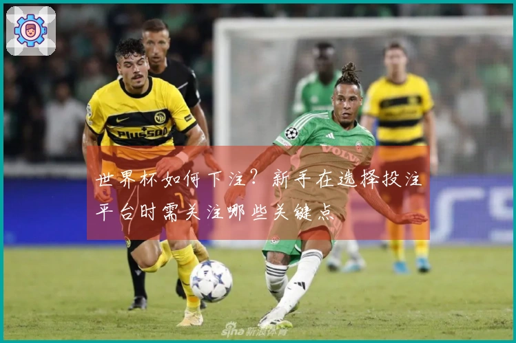 世界杯如何下注？新手在选择投注平台时需关注哪些关键点
