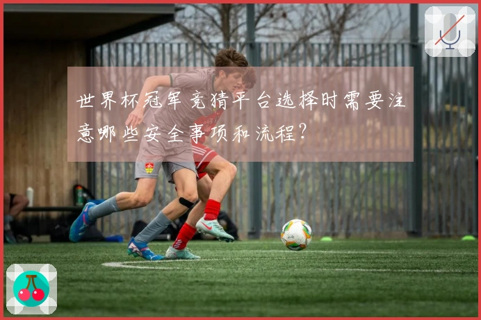 世界杯冠军竞猜平台选择时需要注意哪些安全事项和流程？